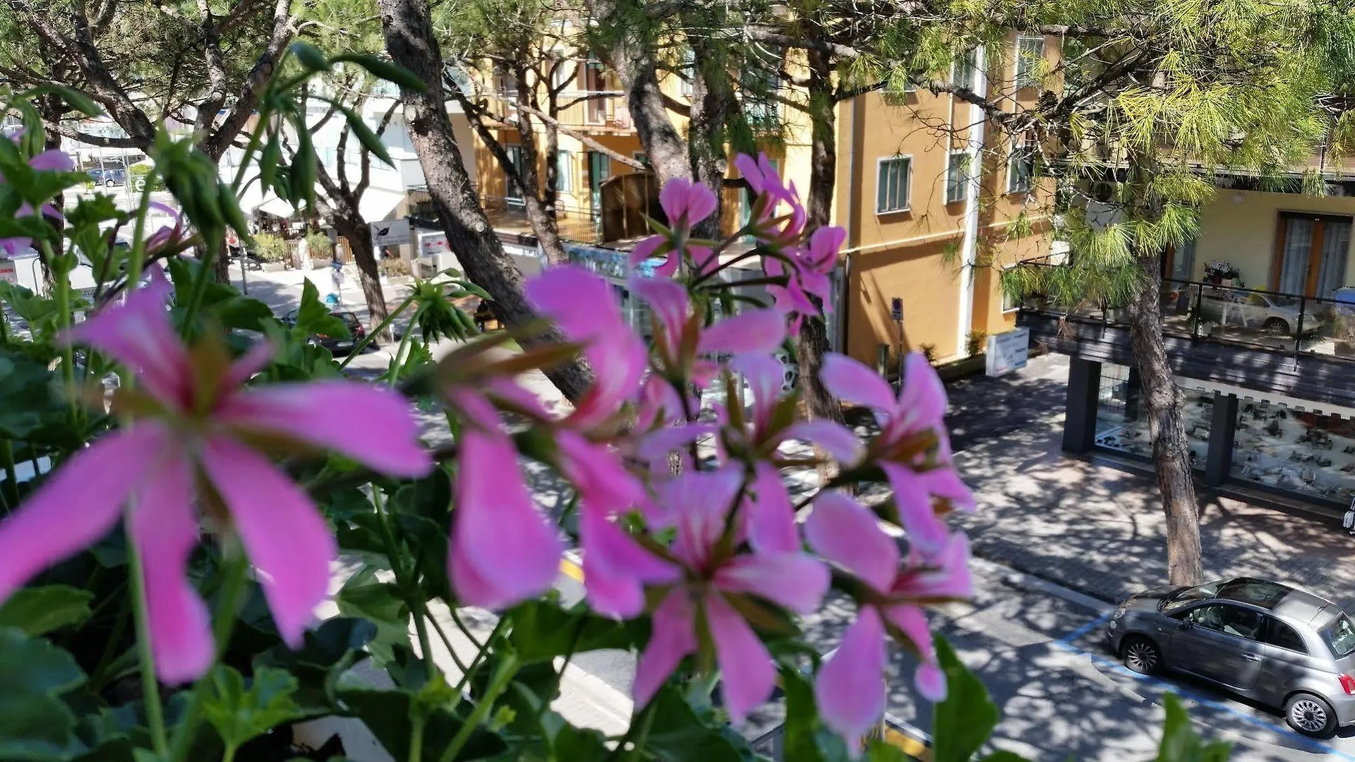 ***  Hotel Danubio Lido di Jesolo Italy